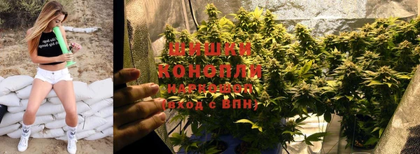 PSILOCYBIN Баксан