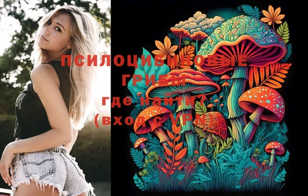 PSILOCYBIN Баксан